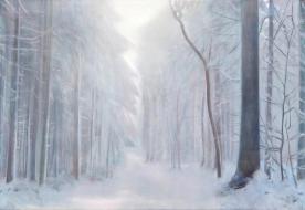 Im Wald (c) Andrea Muheim